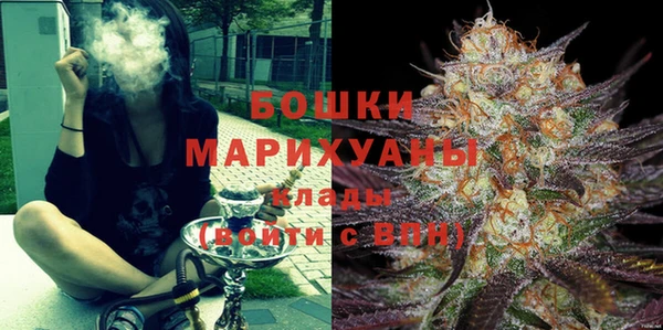 крисы Слюдянка