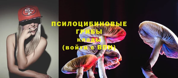 шишки Семёнов