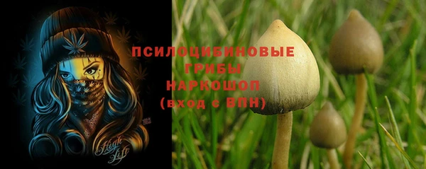 шишки Семёнов