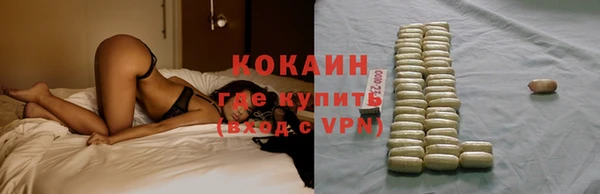 крисы Слюдянка