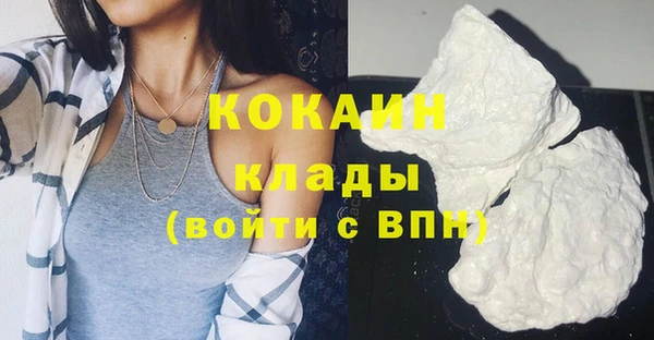 шишки Семёнов