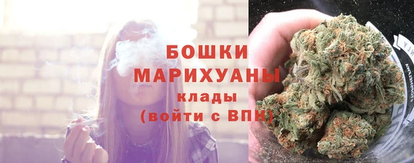 шишки Семёнов