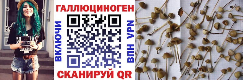 Псилоцибиновые грибы ЛСД  наркота  Ачхой-Мартан 